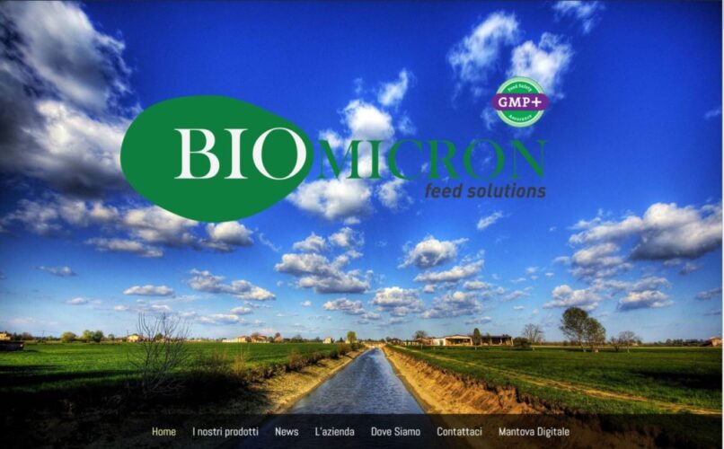 realizzare-sito-internet-mantova