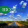 realizzare-sito-internet-mantova